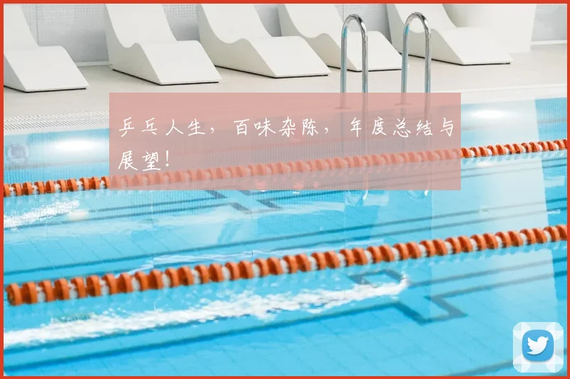 乒乓人生，百味杂陈，年度总结与展望！