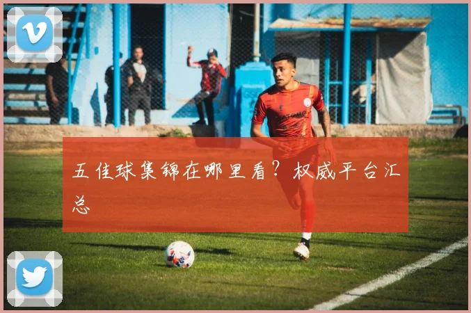 五佳球集锦在哪里看?权威平台汇总