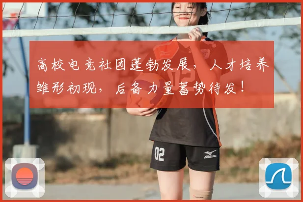 高校电竞社团蓬勃发展,人才培养雏形初现,后备力量蓄势待发!