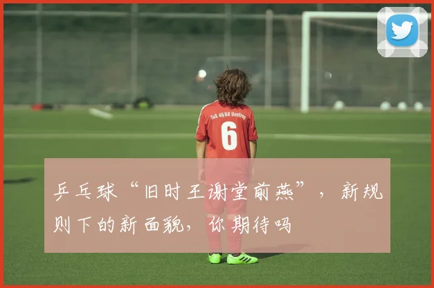 乒乓球“旧时王谢堂前燕”,新规则下的新面貌,你期待吗
