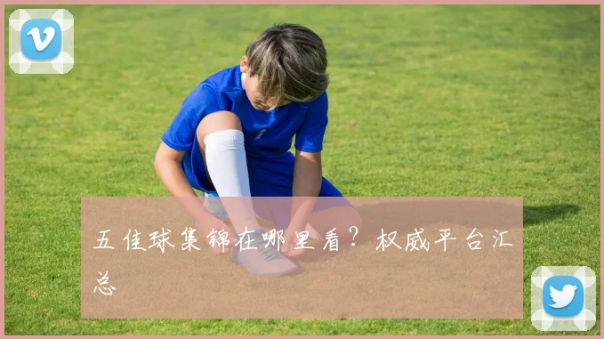 五佳球集锦在哪里看?权威平台汇总