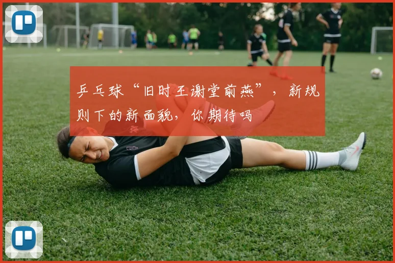 乒乓球“旧时王谢堂前燕”,新规则下的新面貌,你期待吗