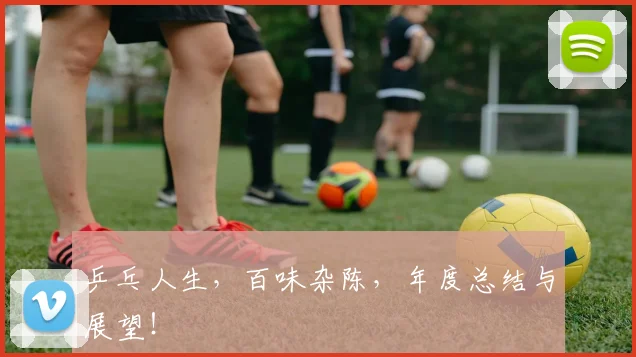 乒乓人生,百味杂陈,年度总结与展望!
